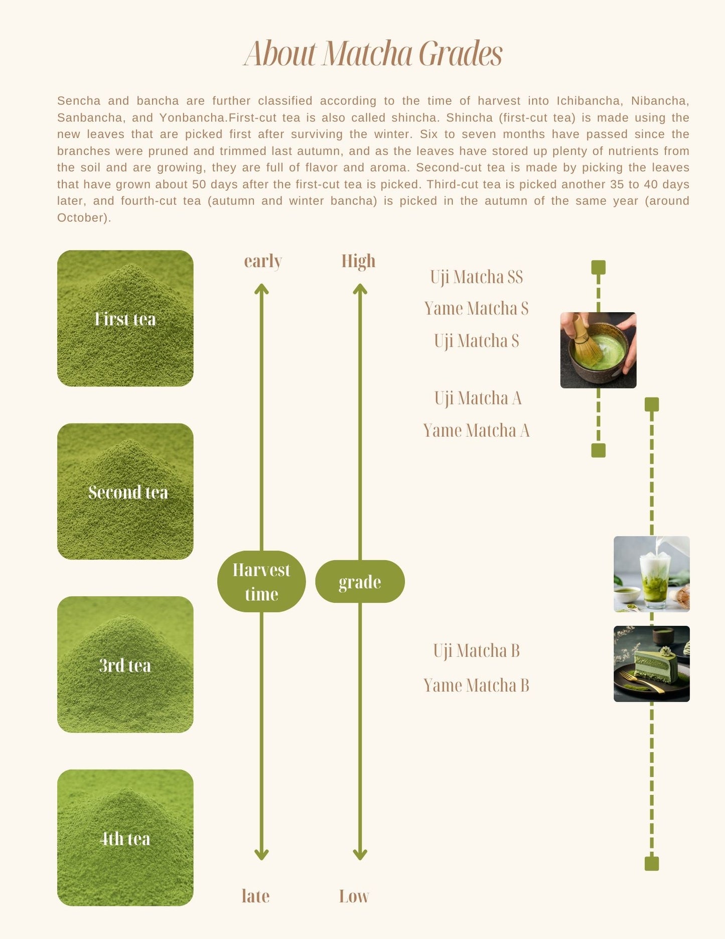 Uji Matcha B / sample 20g