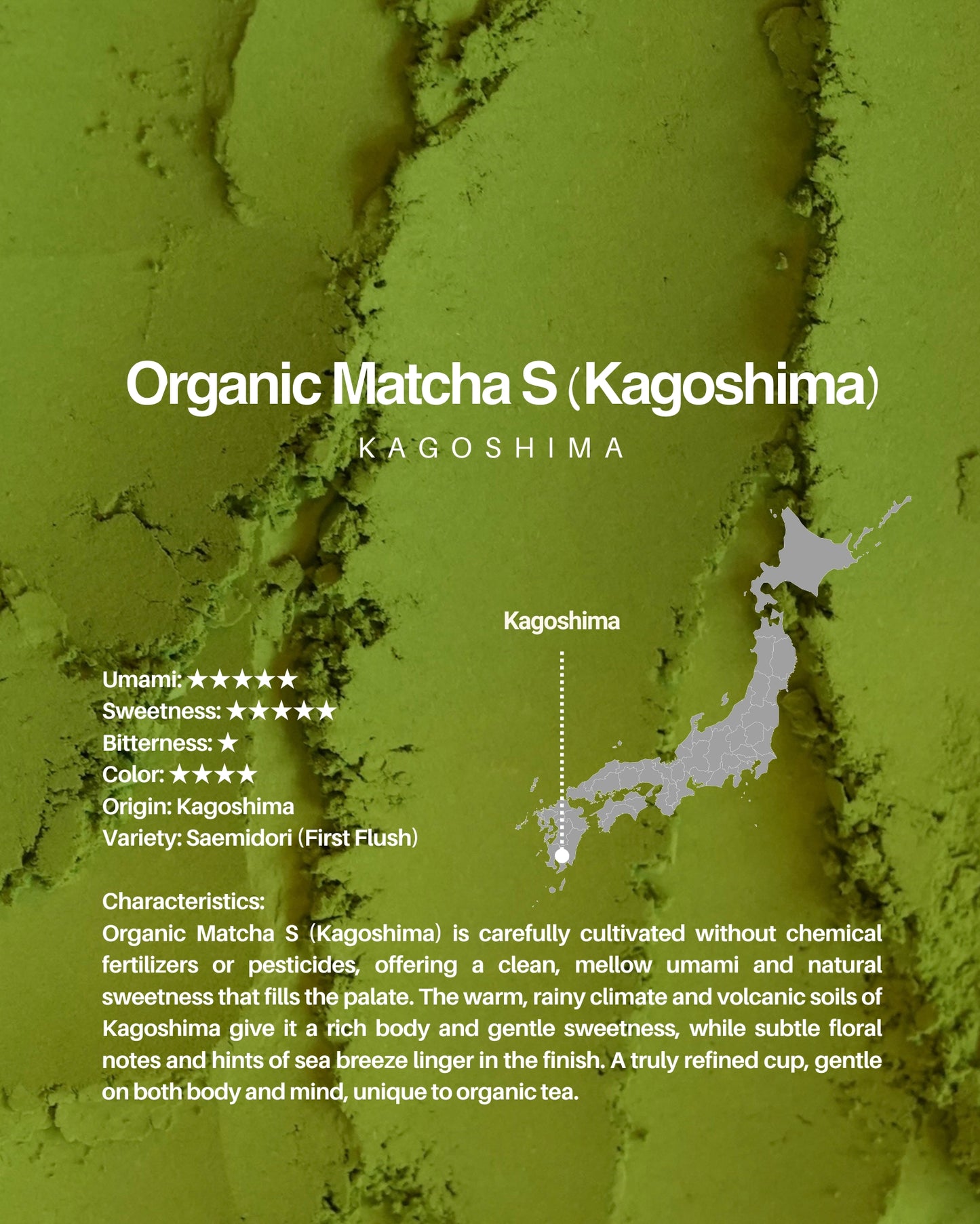 Organic Matcha S (Kagoshima) / sample 20g
