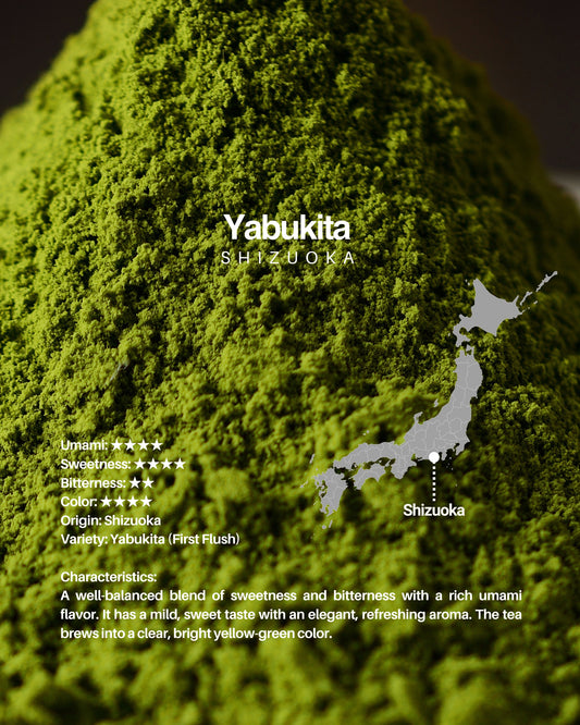 Yabukita / sample 20g