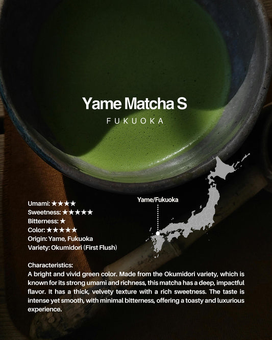 Yame Matcha S / sample 20g
