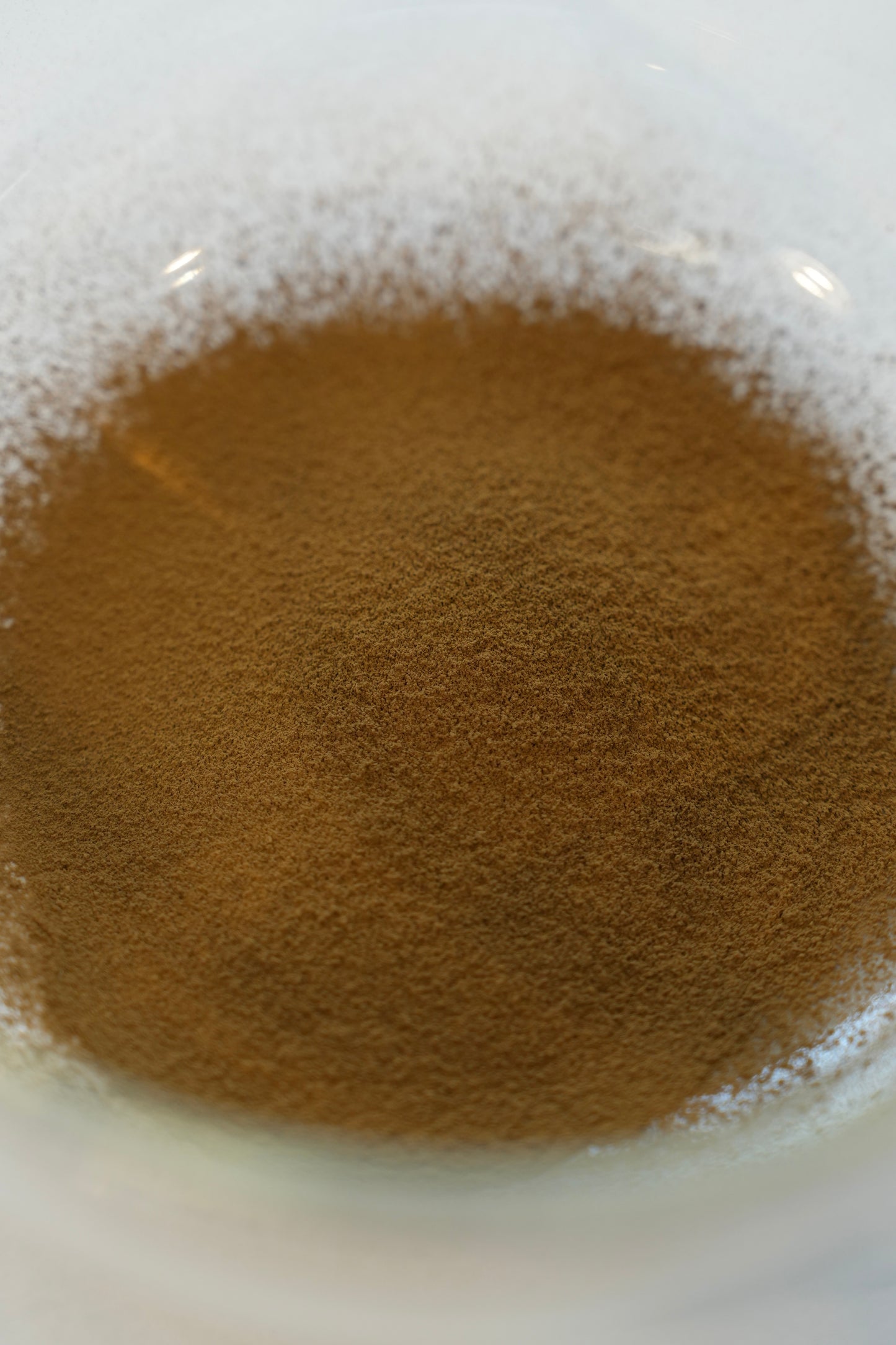 Premium hojicha / sample 20g