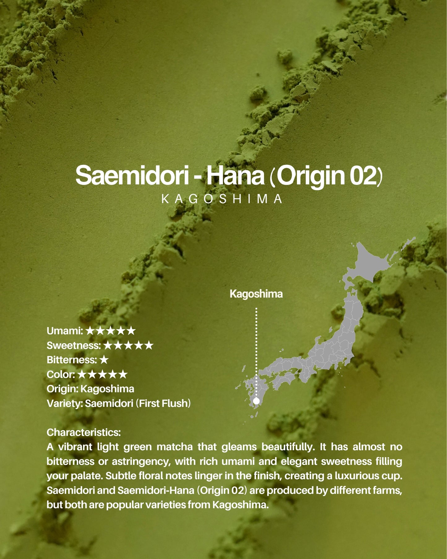 Saemidori - Hana (Origin 02) / sample 20g