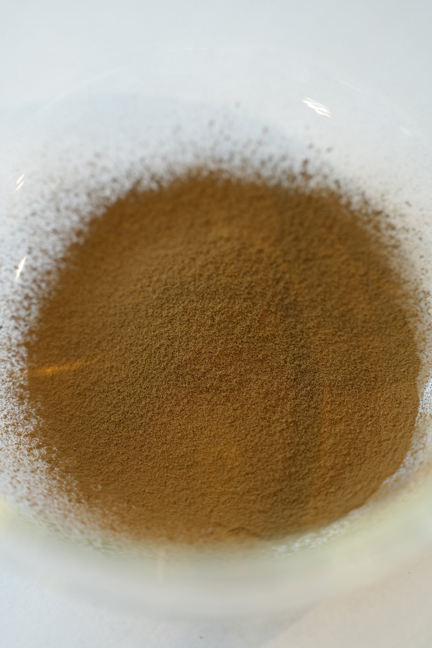 organic hojicha SS / sample 20g