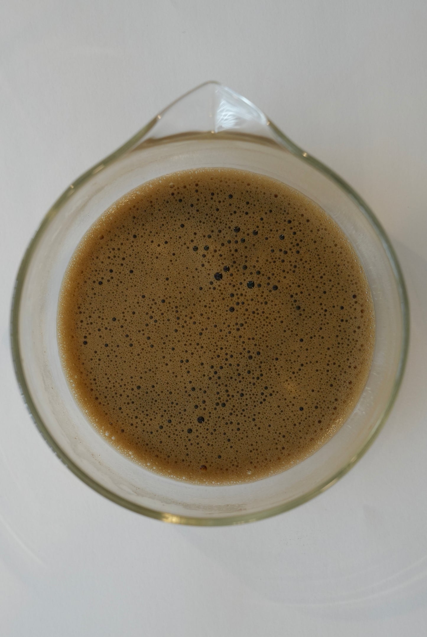 Premium hojicha / sample 20g