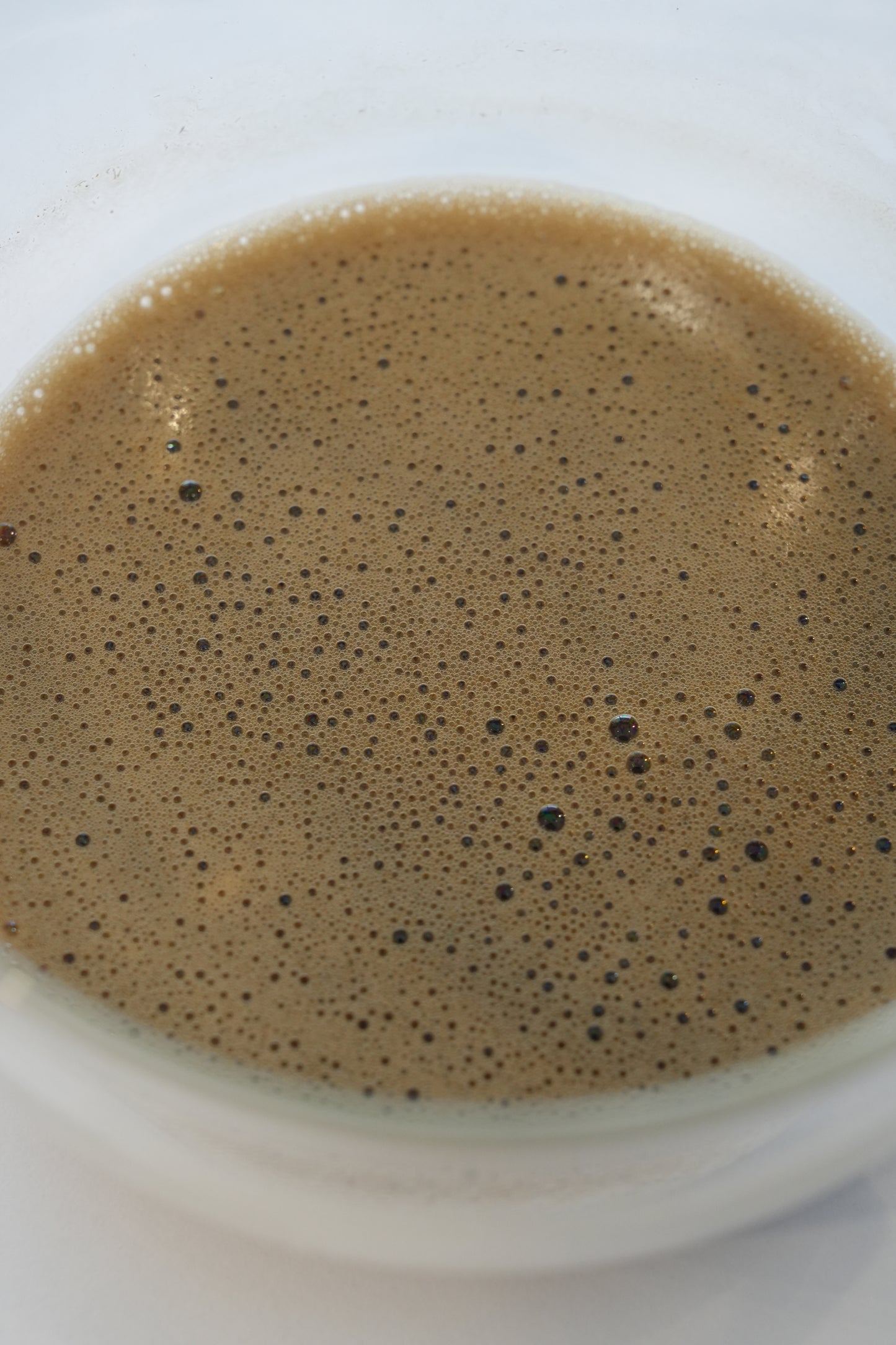 organic hojicha SS / sample 20g