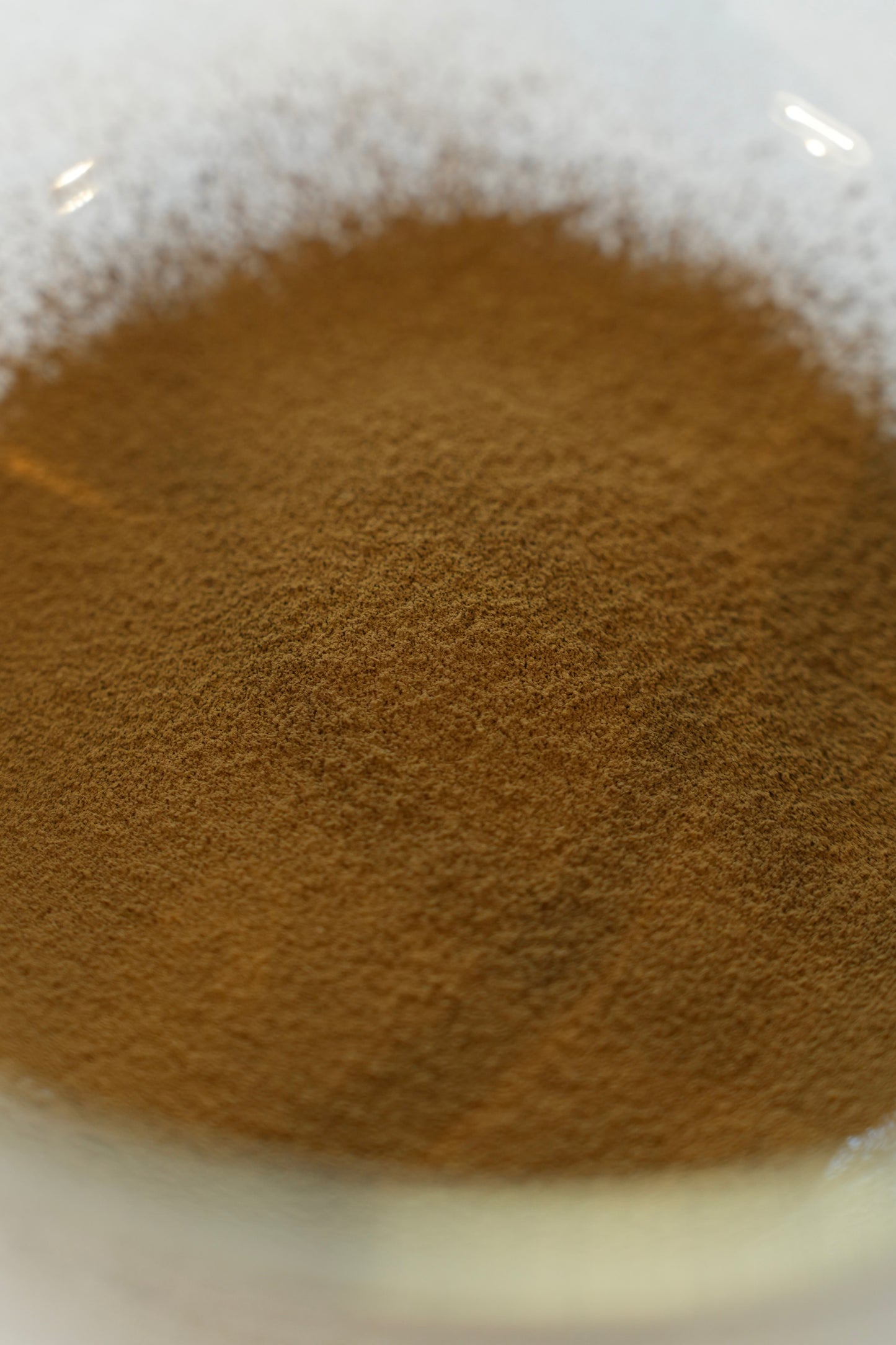 organic hojicha S / 1kg sample