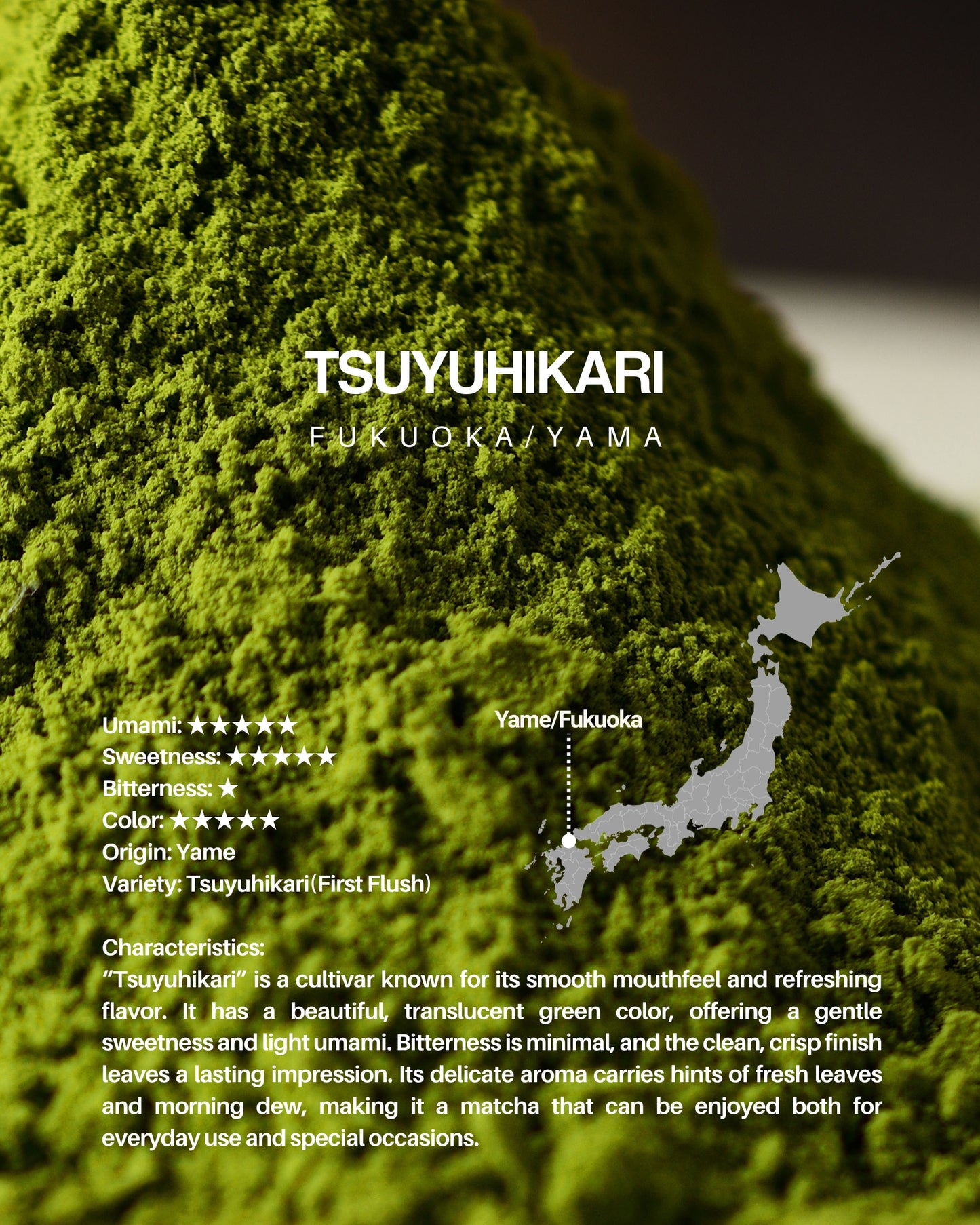 Tsuyuhikari(Yame) / sample 20g