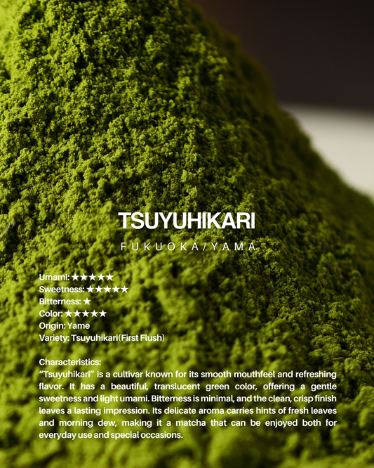 Tsuyuhikari(Yame) / 1kg sample