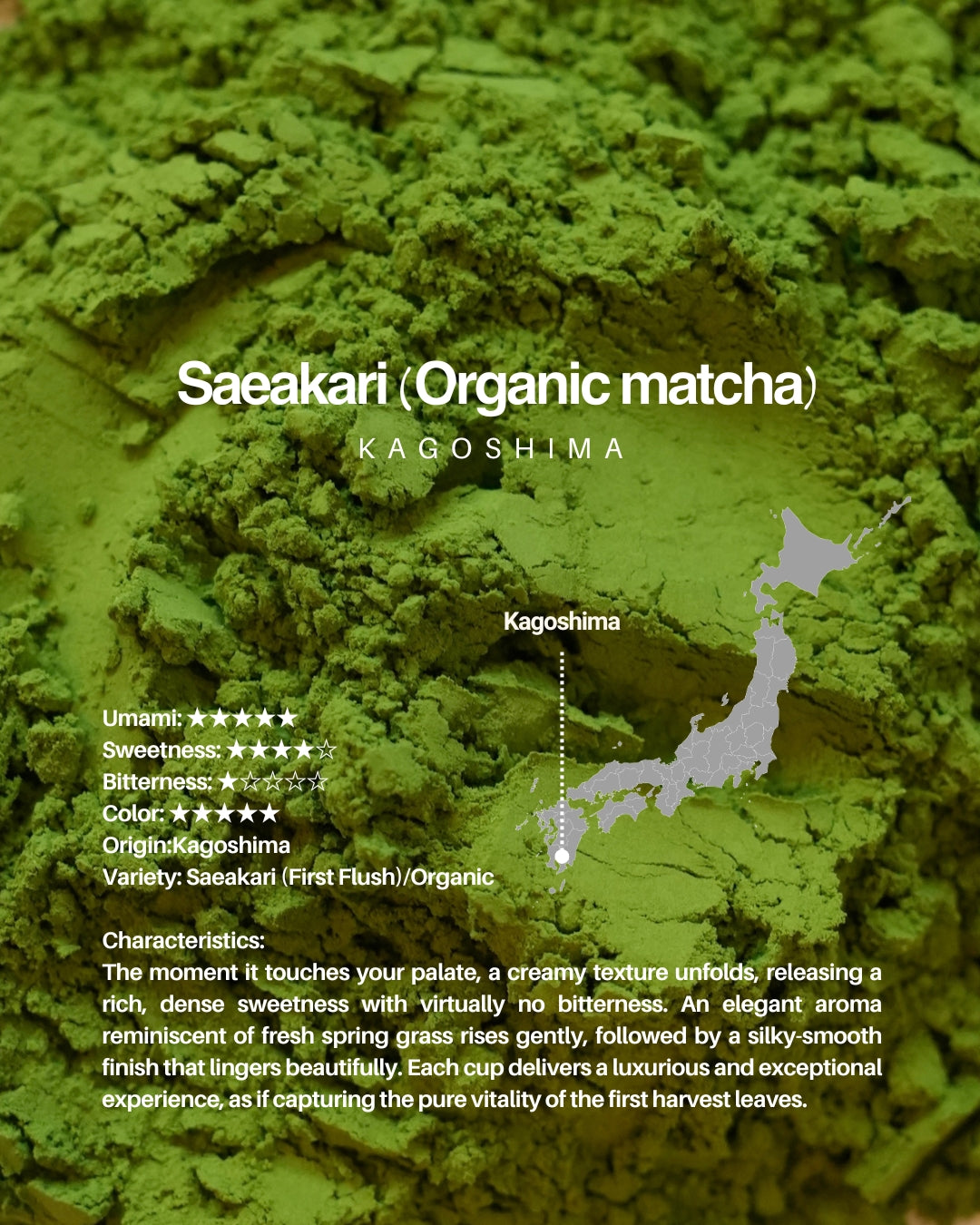 Saeakari (Organic matcha) / sample 20g