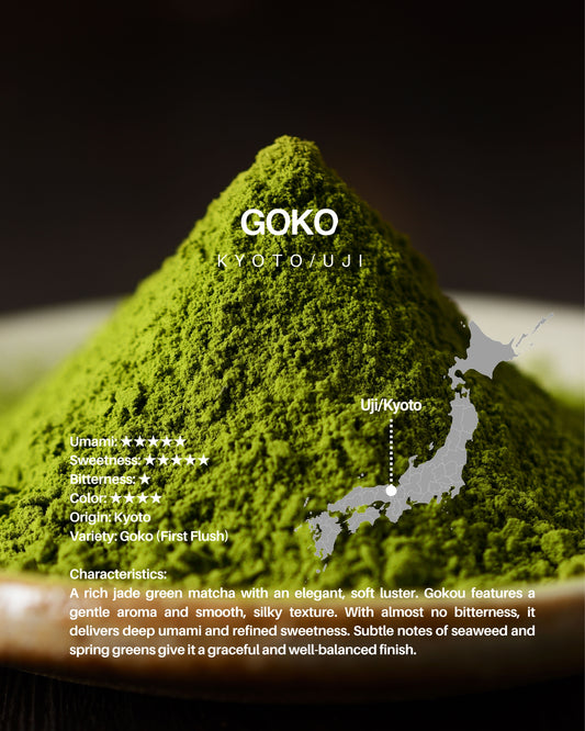 GOKO / sample 20g